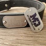 Dog Tag Flush mounted on collar with rivets (Instagram)